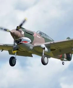 FMS 1400mm P-40B Super Scale ARTF -FMS Sales Shop FMS081P REF 6